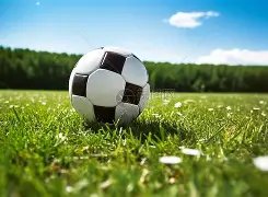 沈阳铁西体,育场变身专,业足球场,万博manbetx体育平台,万博体育官网,万博体育app下载,ManBetX,SPORTS