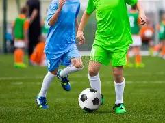 步行者主场,逆袭,国王遭哈利,万博manbetx体育平台,万博体育官网,万博体育app下载,ManBetX,SPORTS